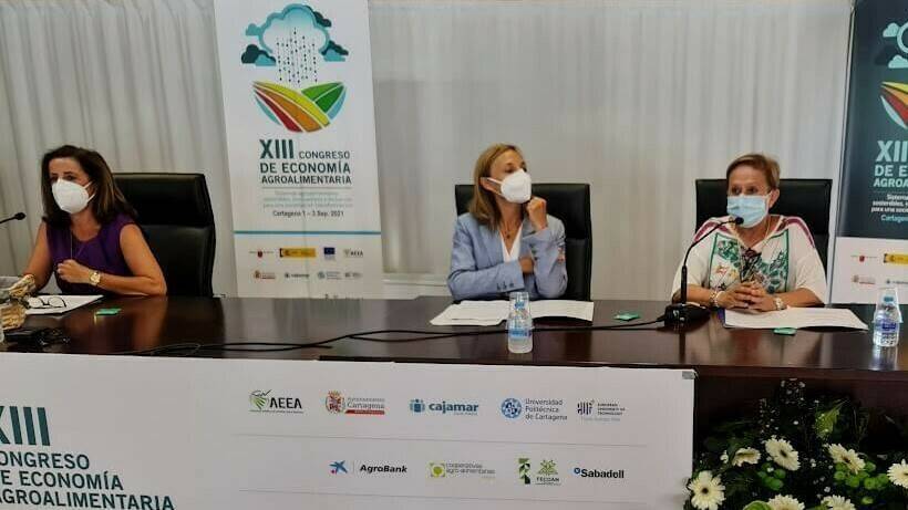 Economia-agroalimentaria-conclusiones-C (2)|Lita IMG_20210903_142828 (2)c|Economia-Agroalimentaria-Innovación (1)-C|Economia-Agroalimentaria-Innovación (1)-C|Economia-Agroalimentaria-Premios-C|Economía-Agroalimentaria-Lita-reconocimiento-C|Economia-Agroal